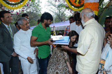 Bengal Tiger Movie Opening
